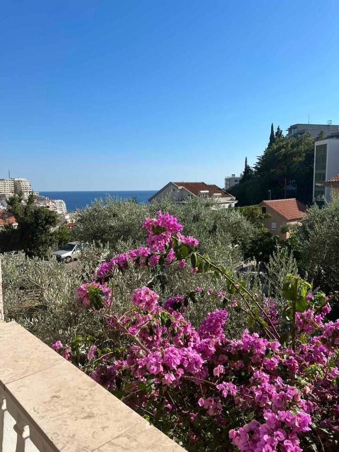 Guesthouse Vila Tamburic Bečići Zewnętrze zdjęcie